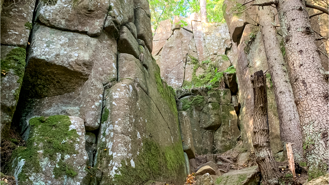 Som västgöte, född och uppväxt bara några mil från Valle, trodde jag att jag sett allt. När jag gick i småskolan var det ju närmast obligatoriskt att göra skolresor till...