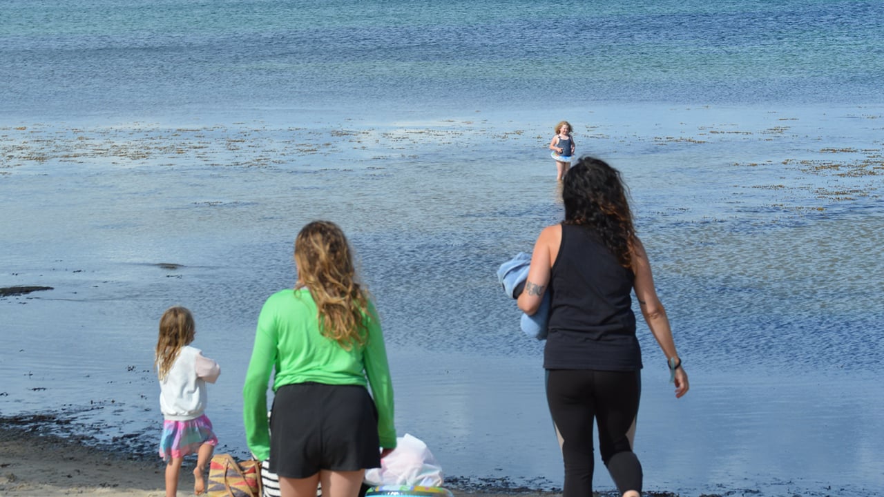Förenklat kan man säga att Österlen är området i Skåne som sträcker sig längs Hanöbukten mellan Kristianstad och Ystad. Av orterna mellan dessa städer är Kivik säkert en av de...
