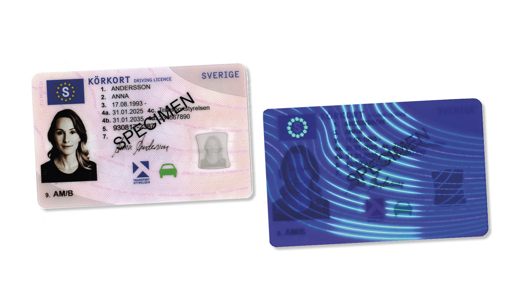 Det svenska körkortet får ett nytt utseende 2025. Nya säkerhetsdetaljer ska försvåra förfalskningar.