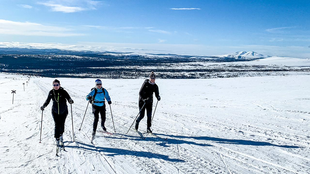 Finns det någon mer än jag på jorden? Jo, spåren framför mig skvallrar om att det finns människor här ändå. Uppåt, uppåt åker vi. Passerar något enstaka hus. Efter 35...