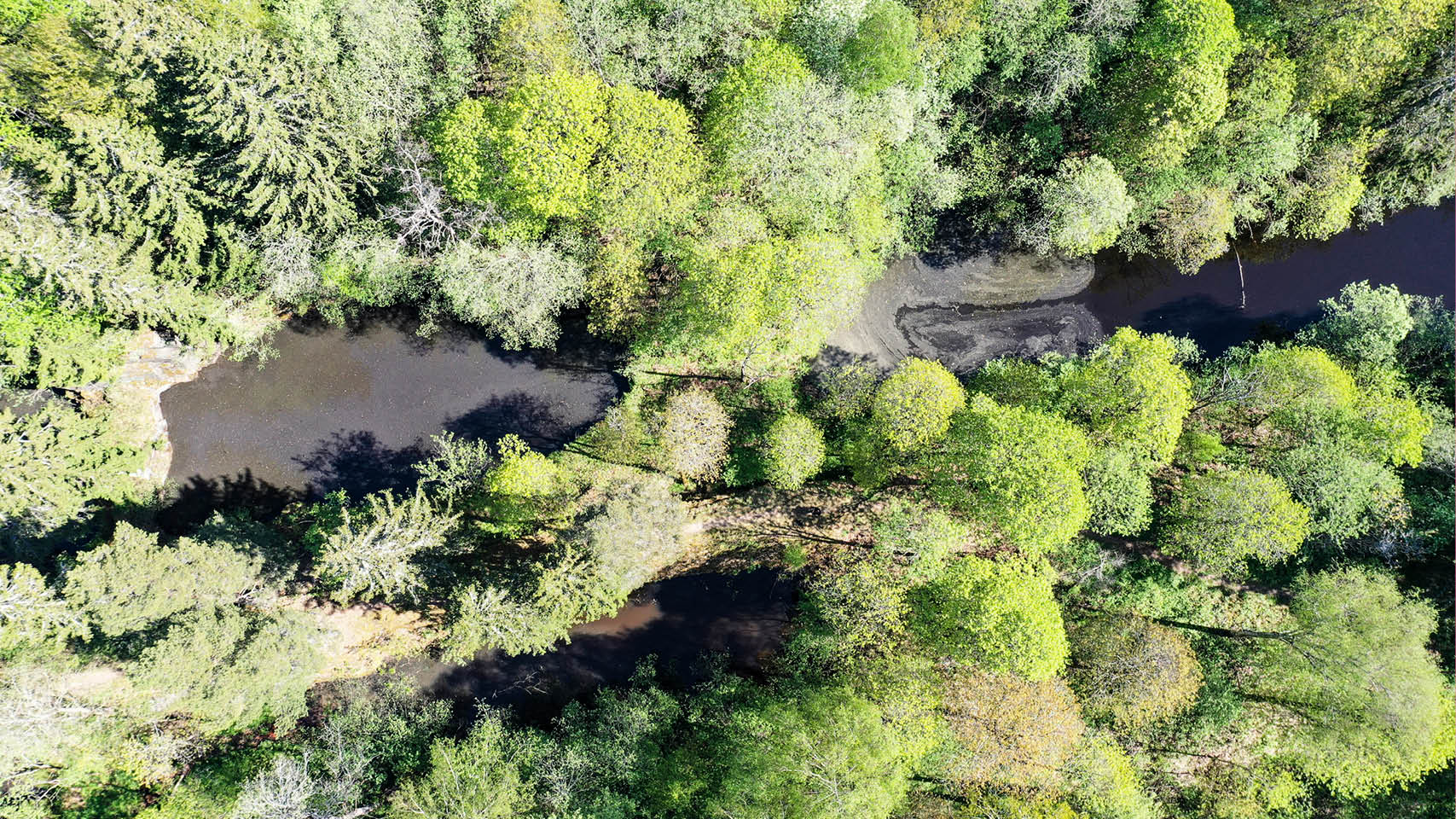 Ekomuseum Bergslagen brukar kallas ”Sveriges största museum”. Området i Västmanland och södra Dalarna är 20 mil långt och här finns just nu 68 ställen att besöka där du kan göra...