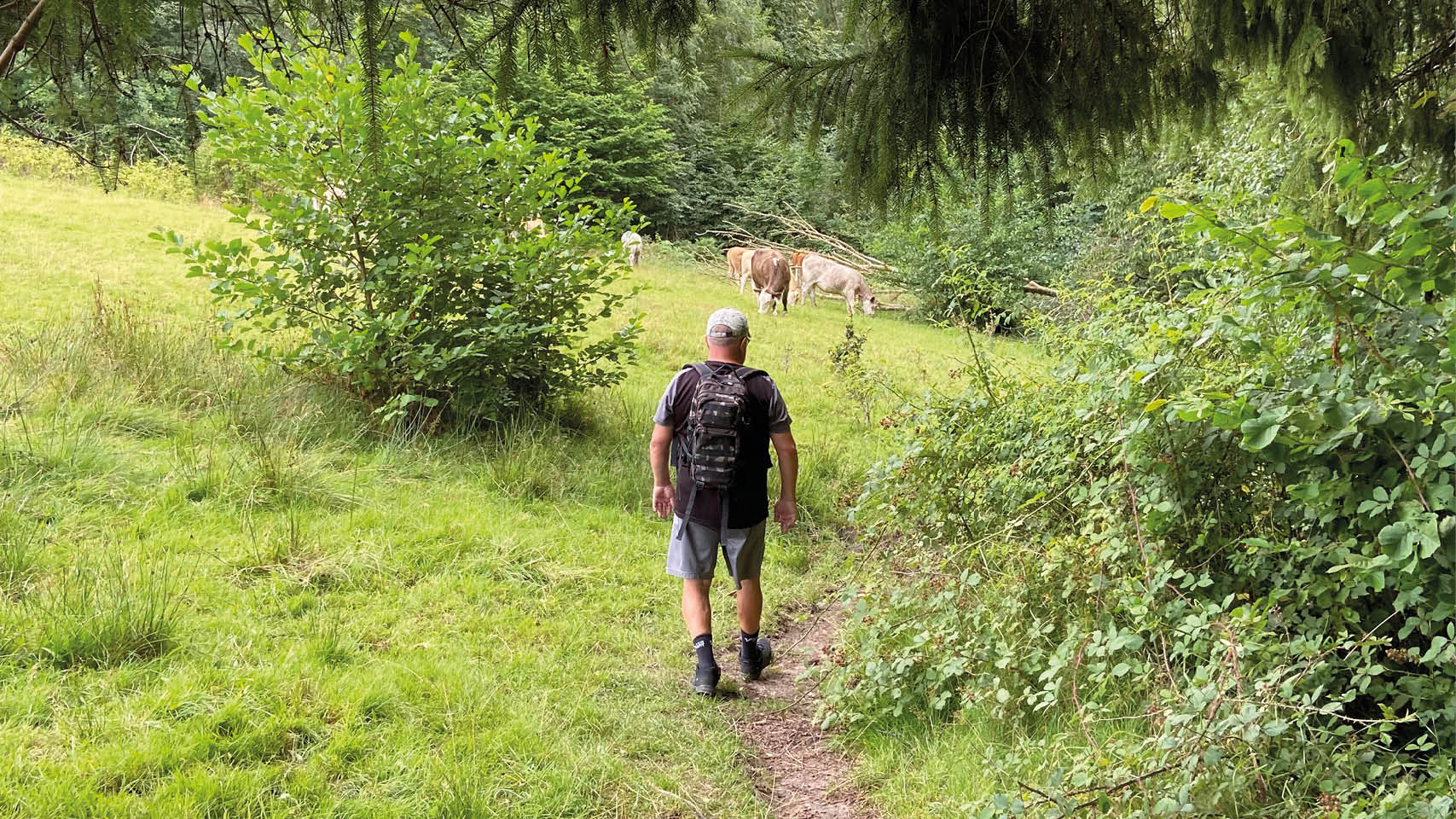 Kjell och Christina Persson. Skåneleden Skåneleden erbjuder 160 mil vandringsled och 100 olika etapper. Vi utgår från hemmaplan och det många kallar ”Åsenrundan”. Du startar vandringen på campingen och går...